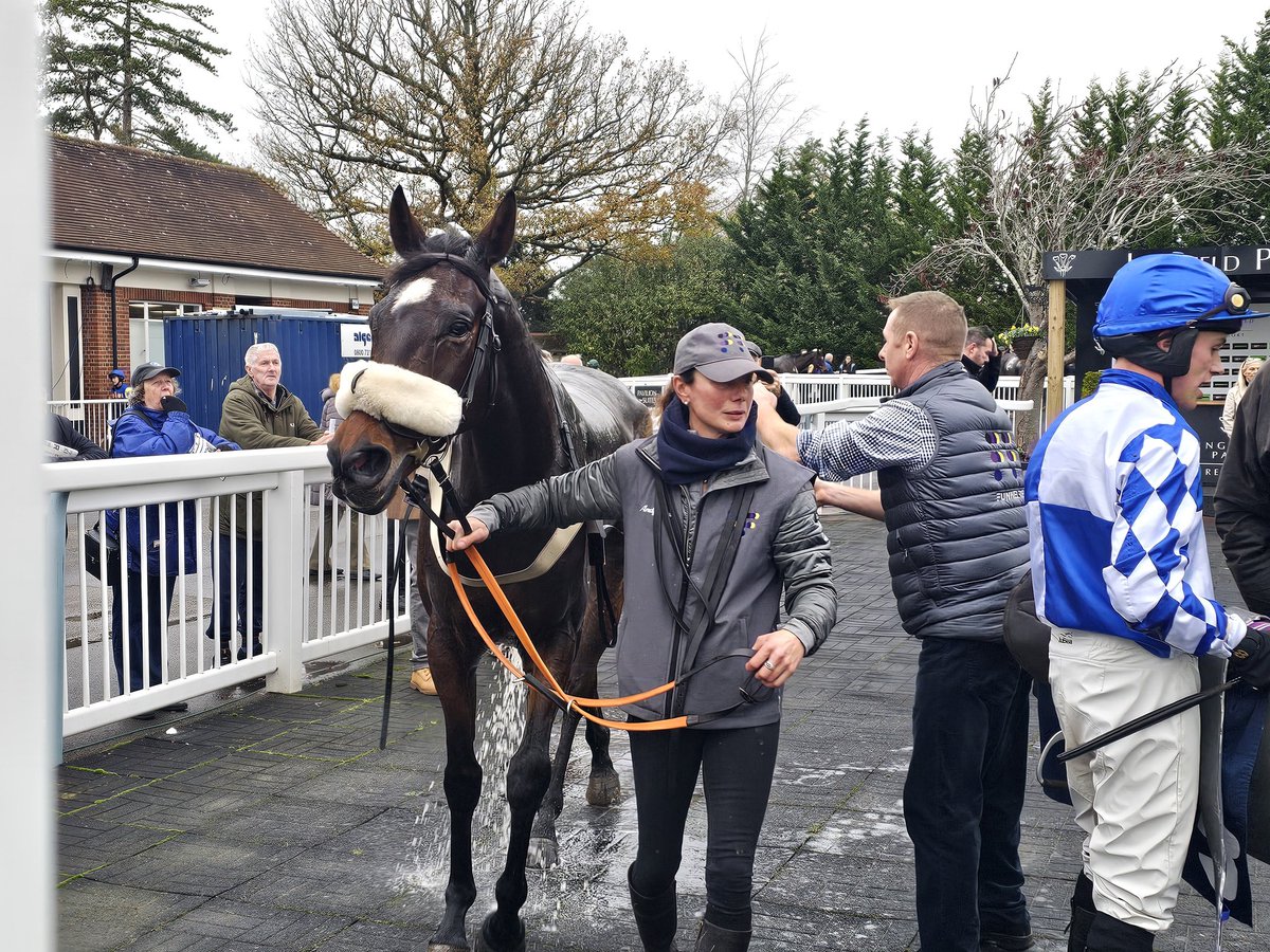 Lingfield Thursday Reviews. Starting with a lovely victory for Team Local!! Tropical Speed's best run so far in his new home, accelerating to an impressive success over Island Run, for <a href="/ShovelstrodeRH/">Shovelstrode Racing</a> and Chad Bament. Good to see him back to his best again, and in winning form.