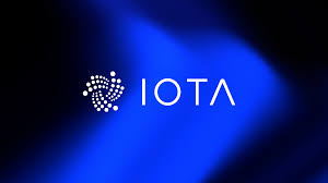 gacorpro's tweet photo. IOTA is shaping a cleaner digital infrastructure,where data is verified once, shared with certainty, and transactions flow without friction. 

A quiet shift, yet one with far-reaching economic impact.

@iota @TWINGlobalOrg @GiveRep #IOTAambassador https://t.co/YITGbrbx3X