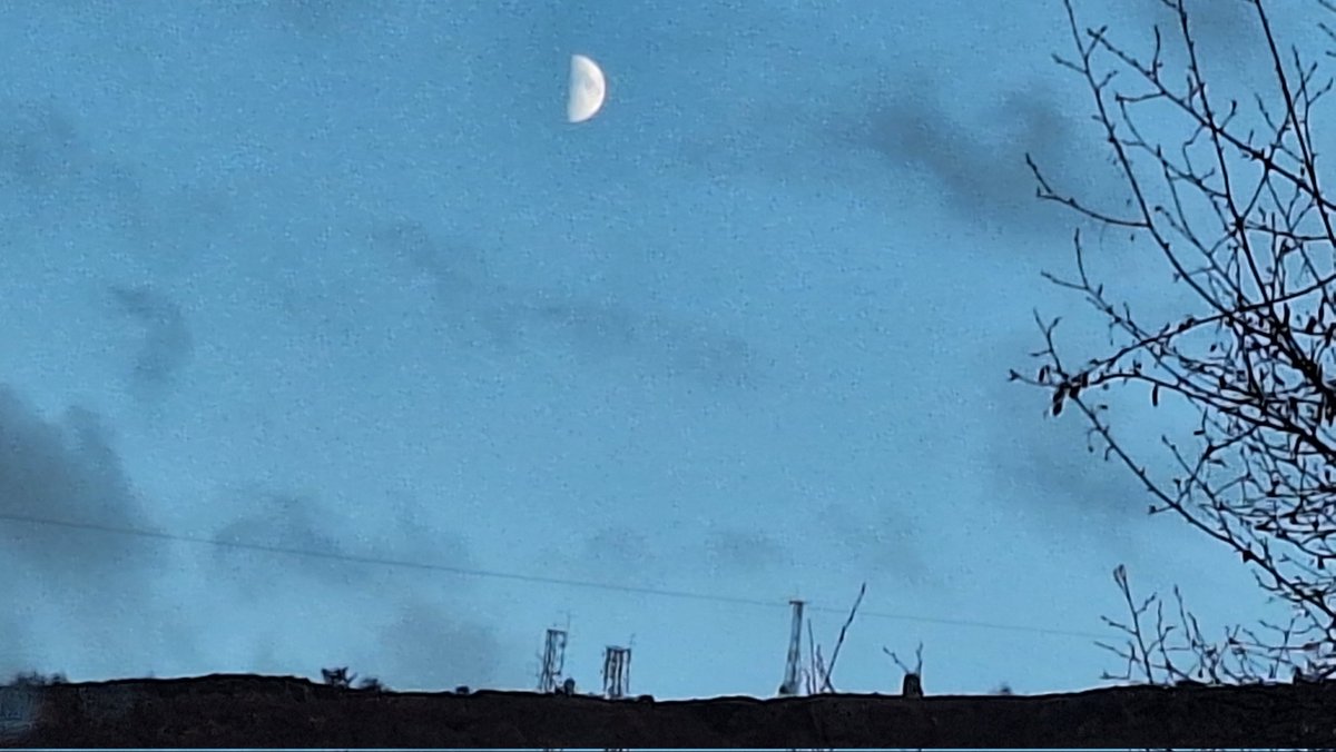 FriendsofEH's tweet photo. #halfmoon https://t.co/Wv7efB9Z6H