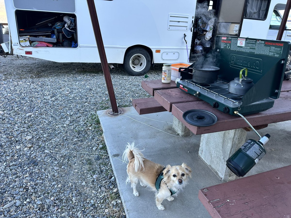 Dinner under close supervision