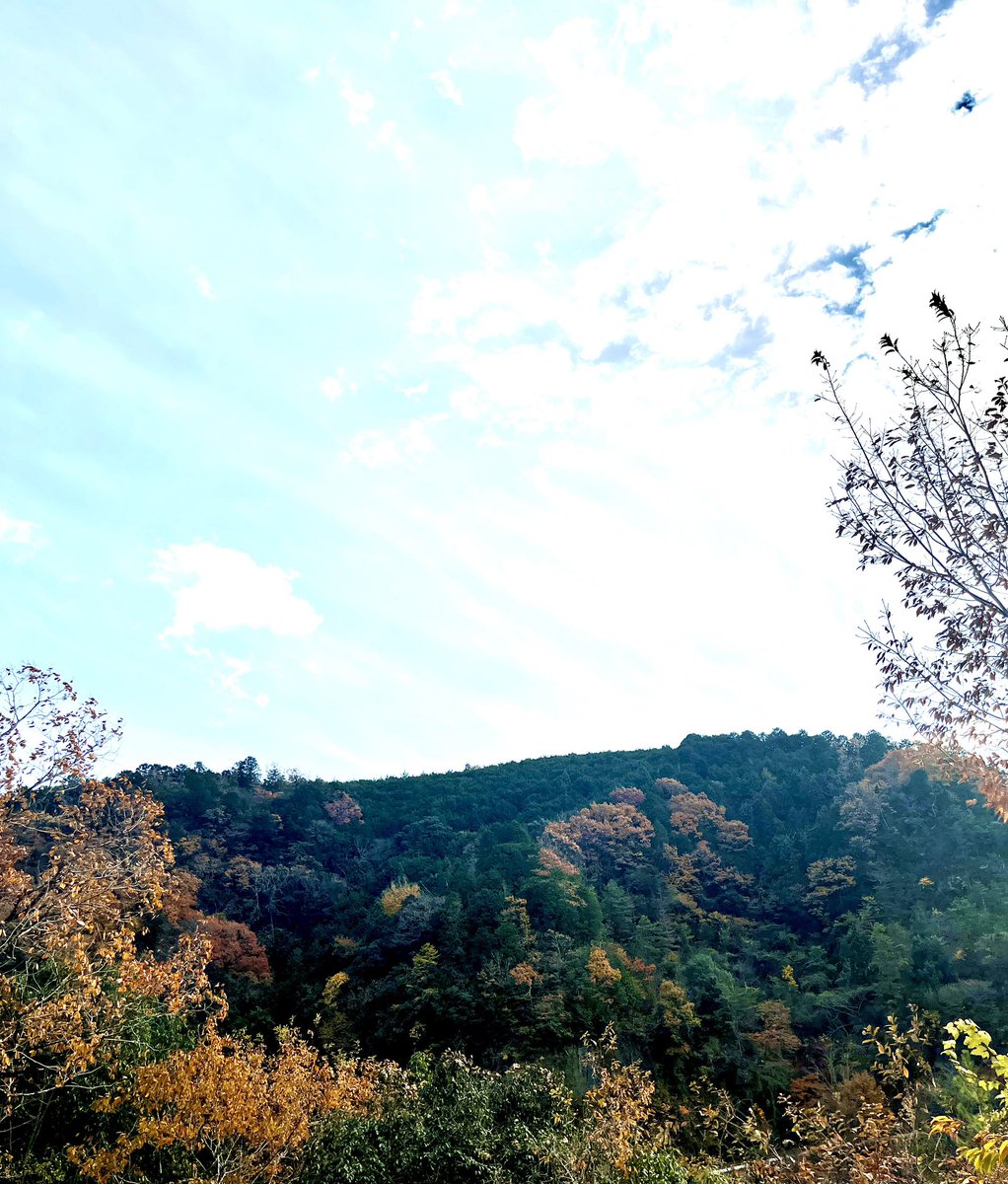 おはようございます。

本日で『ヱビとチーズのカレー』の提供は終了となります。

なお、『ヱビとチーズのカレー』の“ヱ”はヱヴァンゲリオンやヱビスビールと同じ“ヱ”です。ただそれだけのことです。
よろしくお願いします。