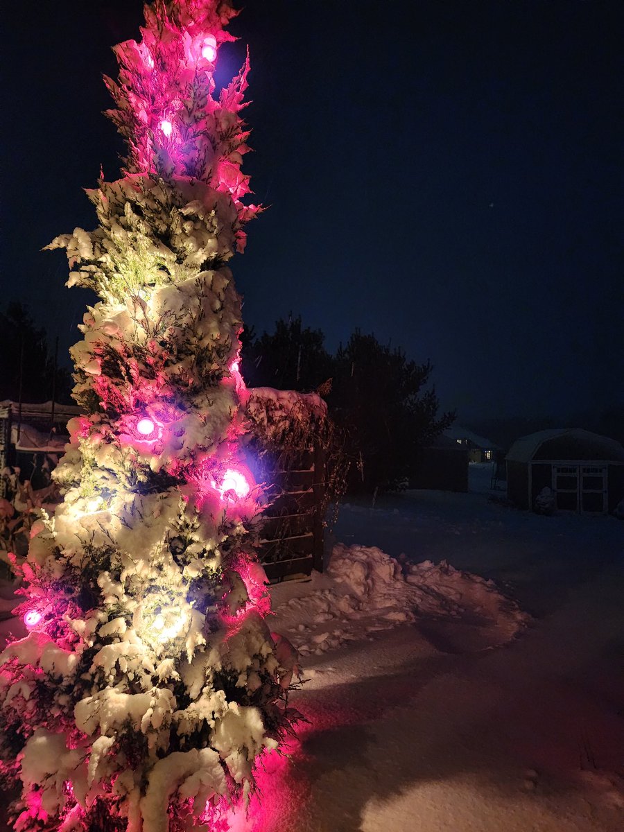 Red light special looking good with the snow...