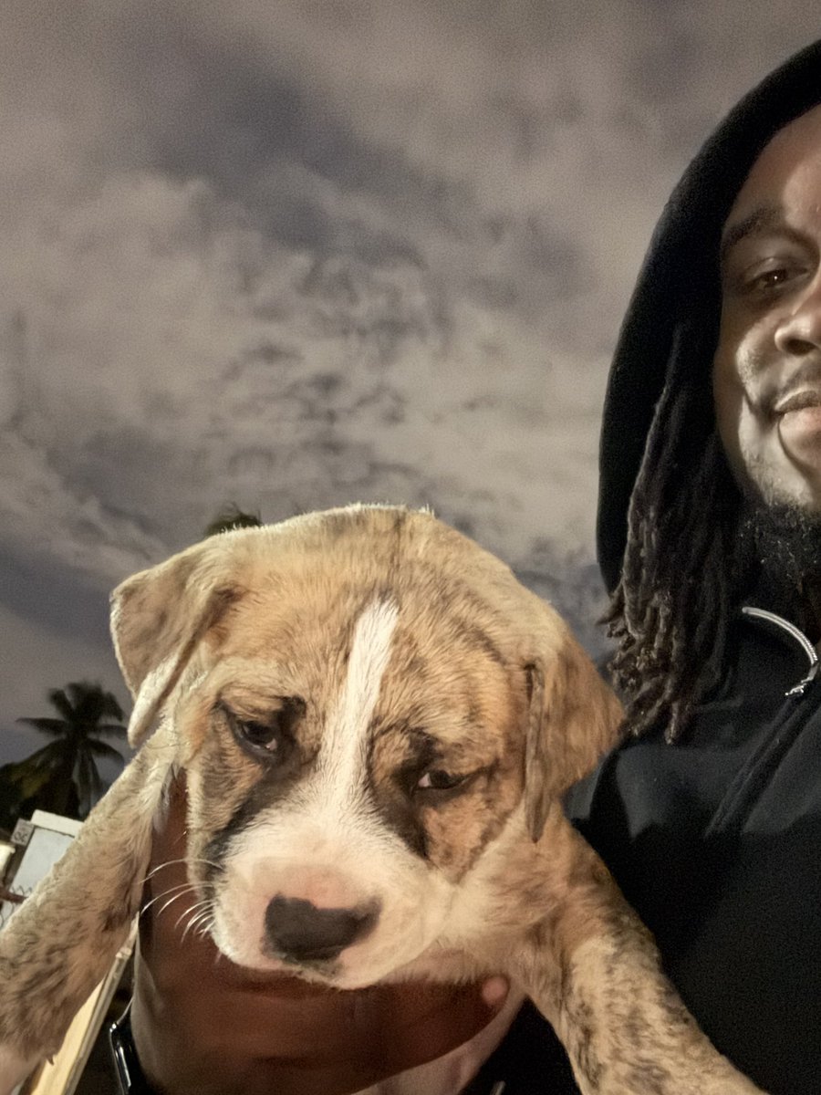 Millitant 🥷 (@movinmillitant) on Twitter photo 