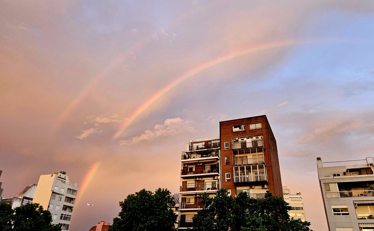 Daniel Carando tweet media