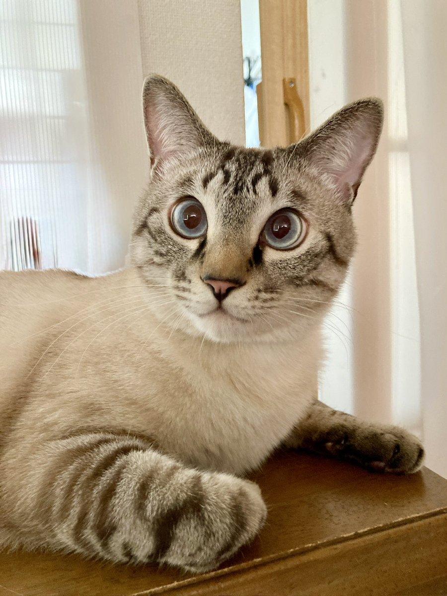 そらプロフ確認お願いします様　お取り引き　12/6 img06.jpg