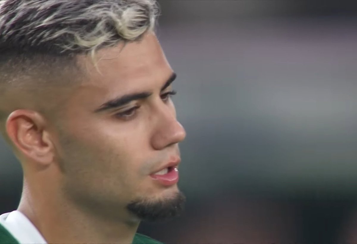 GifsFla's tweet image. QUE SATISFAÇÃO PITICO