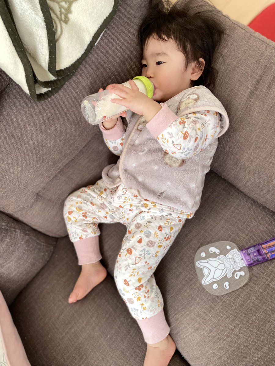 パンちゃんとナギさん4y&スイさん1y (@panchanbaby) / Posts / X