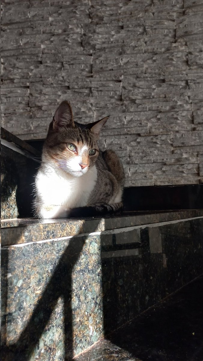 Lulu!♰🫟 tweet media