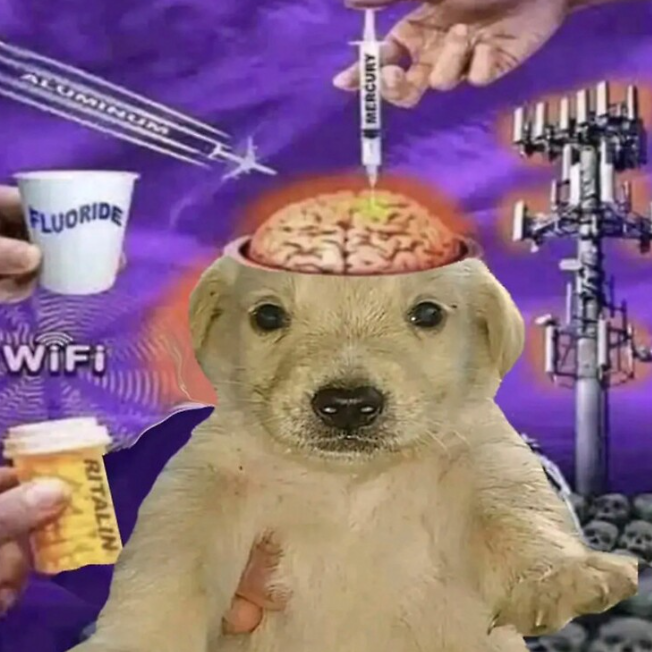 1 game of nuketown 24/7