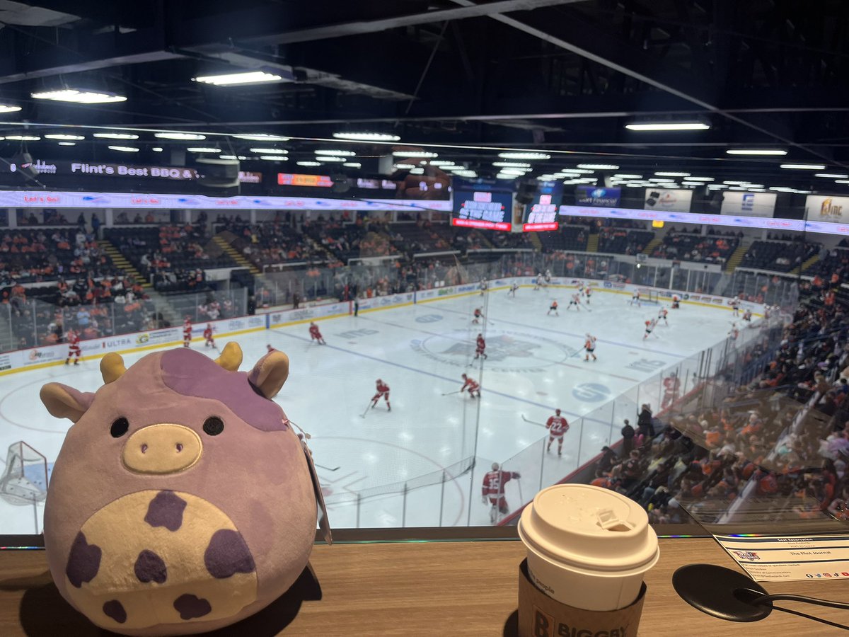 Matt Merrifield tweet media