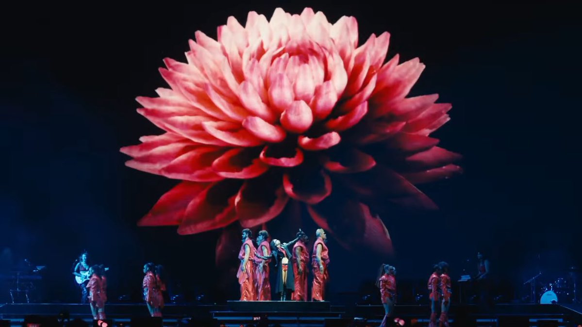 8_goodvibes's tweet image. In the dark I grew