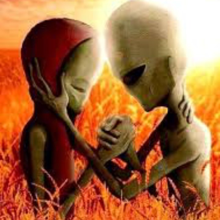 ⴙ⍺dᥱ᥉ ★ tweet media