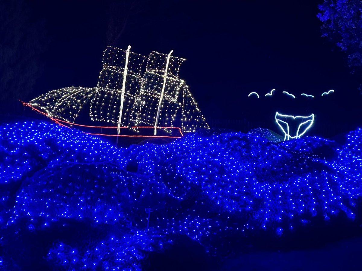 MappingThePath's tweet image. Last night at the Festival of Lights at Mendocino Coast Botanical Gardens. Nice event, and the gardens are incredible in the daytime #travel