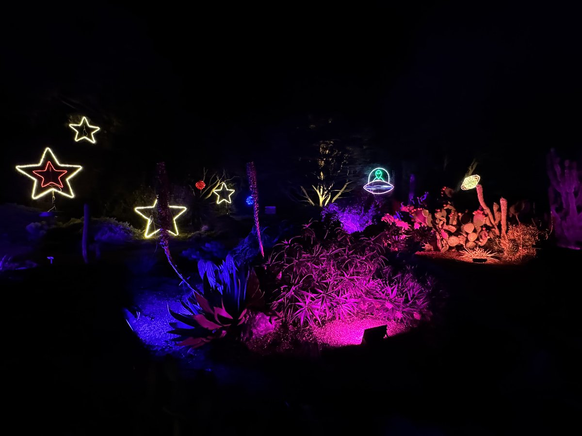 MappingThePath's tweet image. Last night at the Festival of Lights at Mendocino Coast Botanical Gardens. Nice event, and the gardens are incredible in the daytime #travel