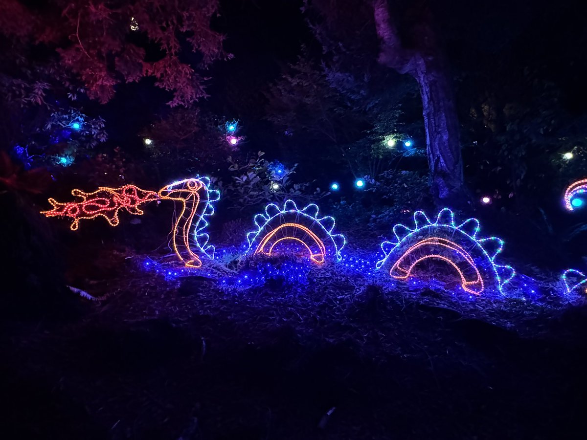 MappingThePath's tweet image. Last night at the Festival of Lights at Mendocino Coast Botanical Gardens. Nice event, and the gardens are incredible in the daytime #travel