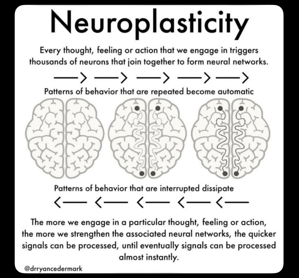 sxicex's tweet image. 🧠 Neuroplasticity ประสบการณ์ทุกอย่างในชีวิตกำลังแกะสลักสมอง

 Synaptogenesis เมื่อเรียนรู้ใหม่สมองจะสร้างจุดเชื่อมต่อ (Synapse) ใหม่ระหว่างเซลล์ประสาท

Synaptic Pruning กำจัดจุดเชื่อมต่อที่คุณไม่ได้ใช้ เพื่อให้สมองมีพลังงานไปเสริมสร้างจุดเชื่อมต่อที่สำคัญกว่า (สิ่งที่ฝึกฝนบ่อยๆ)