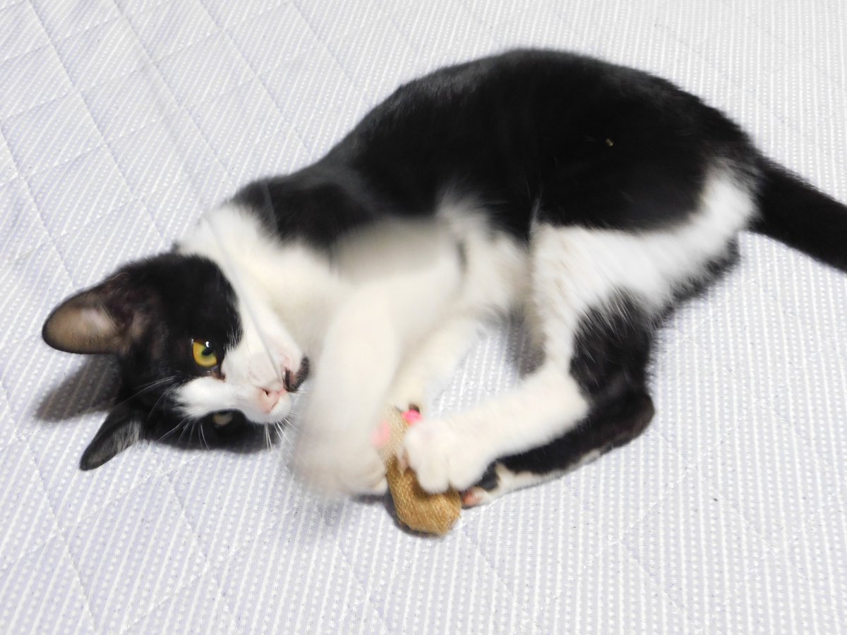 みかりん (@0124_mikarin) / Posts / X