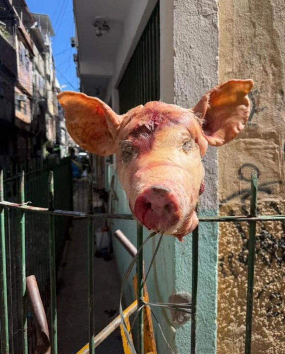 menorleguii's tweet image. Ninguém morre nos devendo 🙅‍♂️