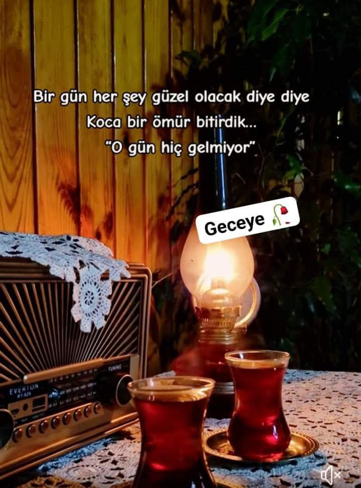 Gece düşünmek için en güzel vakit aslında.
Bazen geçmişi düşünürsünüz, bazen hiç geçmeyenleri.
Bazen hüzündür, bazen hayal. Bazende Umut.
Umut ışığınız hep açık kalsın, hiç sönmesin.
Güzel bir sabaha uyanmak dileğiyle, #iyigeceler

#SuskuN_SaiR_67🌿🕊
#GeceyeNotum 
#Geceye