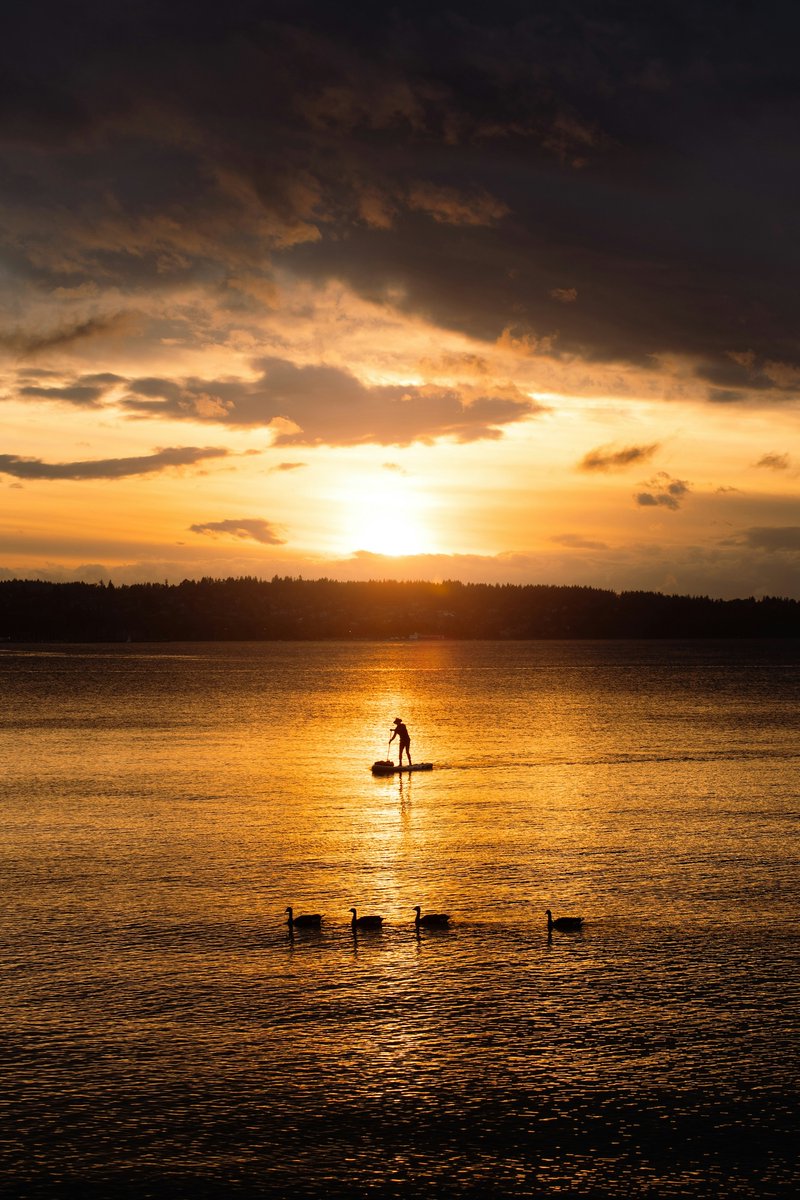 supconnect's tweet image. Golden hour solitude — where stillness meets motion, and every paddle stroke feels timeless. ✨
Photo: Bartosz Palus

#supconnect #paddleboarding #sunsetpaddle #standuppaddle

Enter our photo contest and share your photos: supconnect.com/photo-contest-…