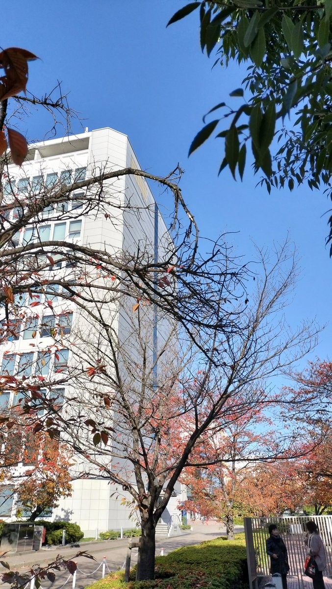 hiro16's tweet image. 今日もいい天気☀