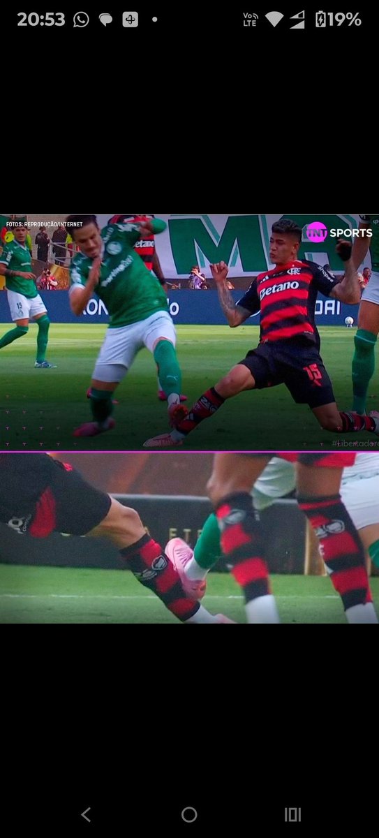 flamengobg's tweet photo. @Palestra_News_ https://t.co/8khN33GN3k