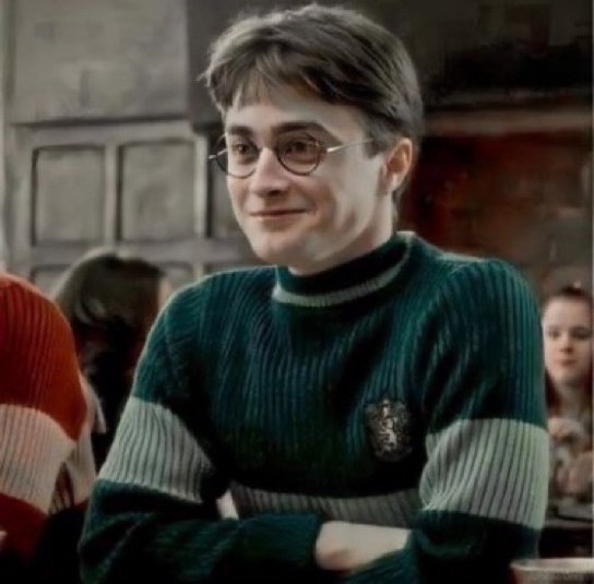 TheDailyHPotter's tweet image. What if Harry was sorted into Slytherin 😬
