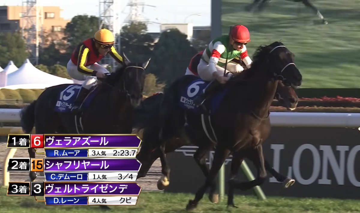 ベルモット🫏 🆅 🅴 🆁 🅼 🅾 🆄 🆃 🅷 (@fYck29PVgmf2sEv) / Posts / X