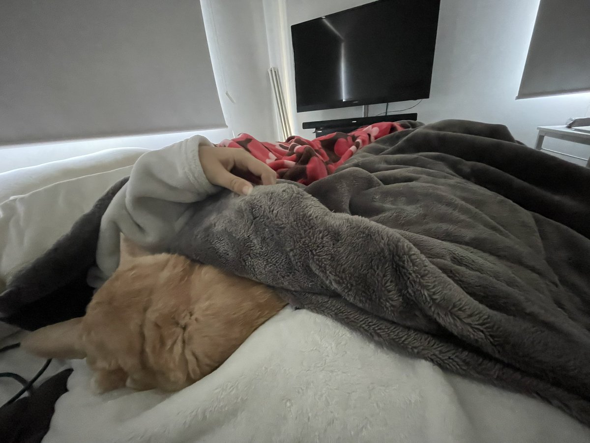 脇から猫生えてる