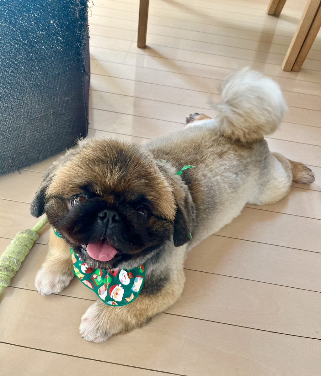 ナムコ (@na257) / Posts / X