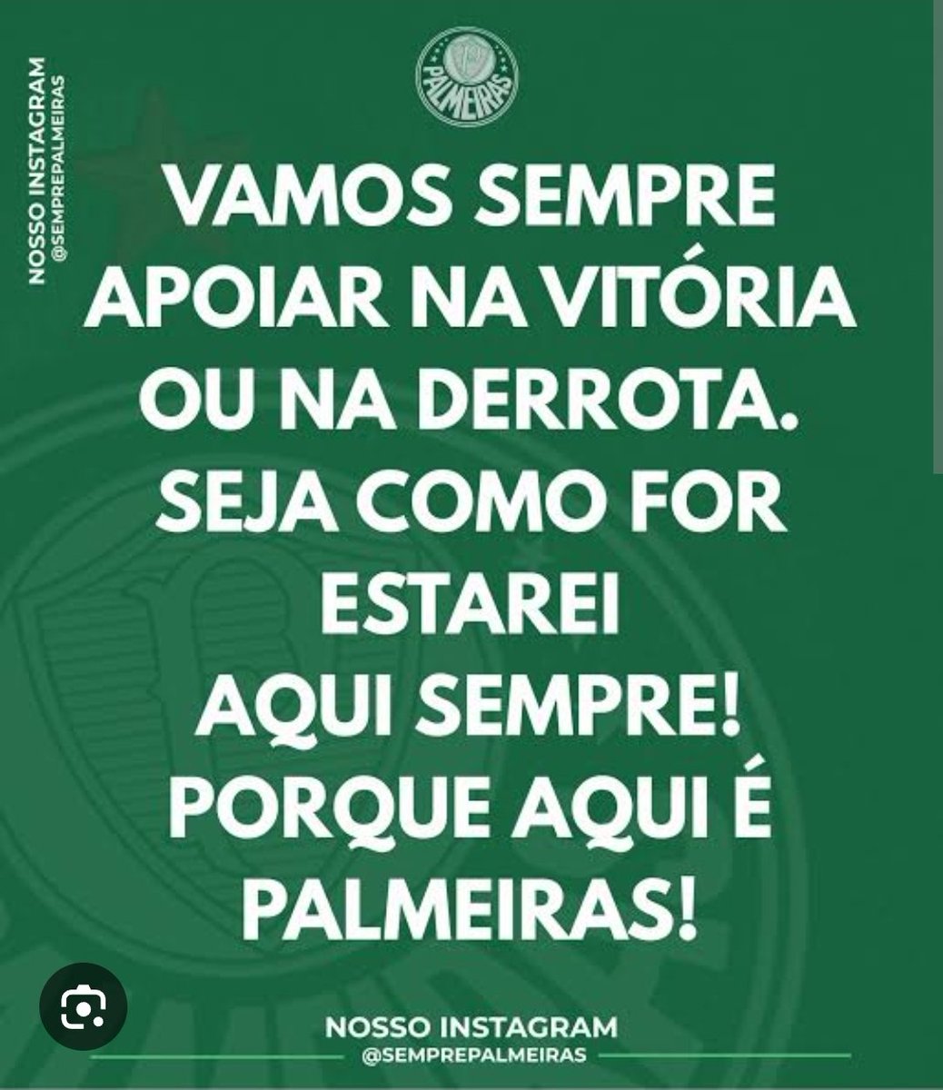 jbglima's tweet image. #palmeiras