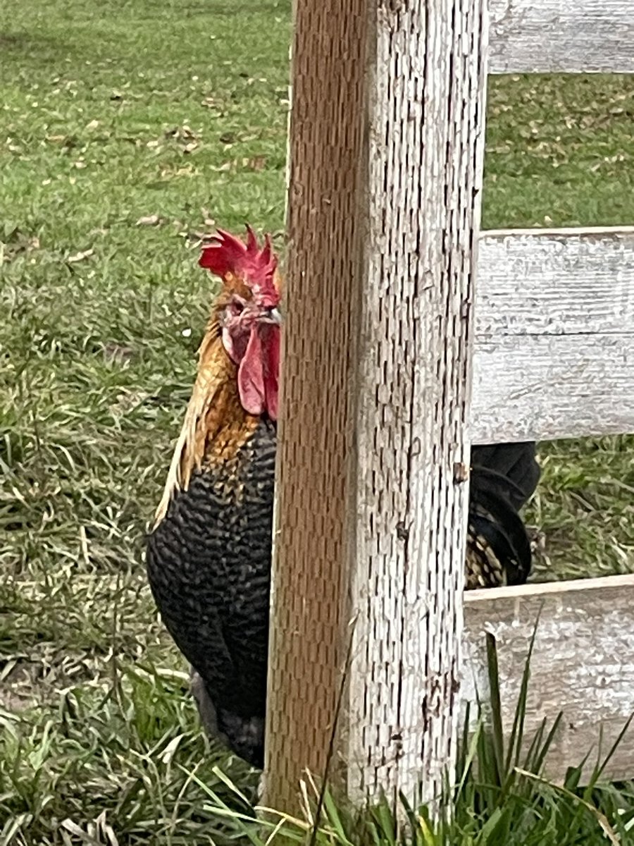 I’m under surveillance 😂