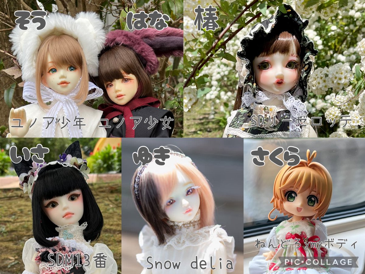 kage_ru's tweet photo. うちの子紹介
#うちのこかわいい 
#ドールオーナーさんと繋がりたい https://t.co/pfwaV0NAZc
