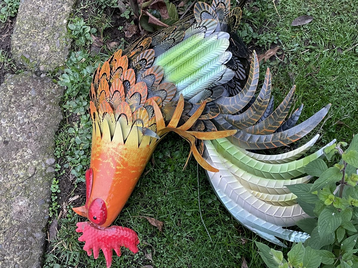 Marshmallow: 647 
Yard art: 0