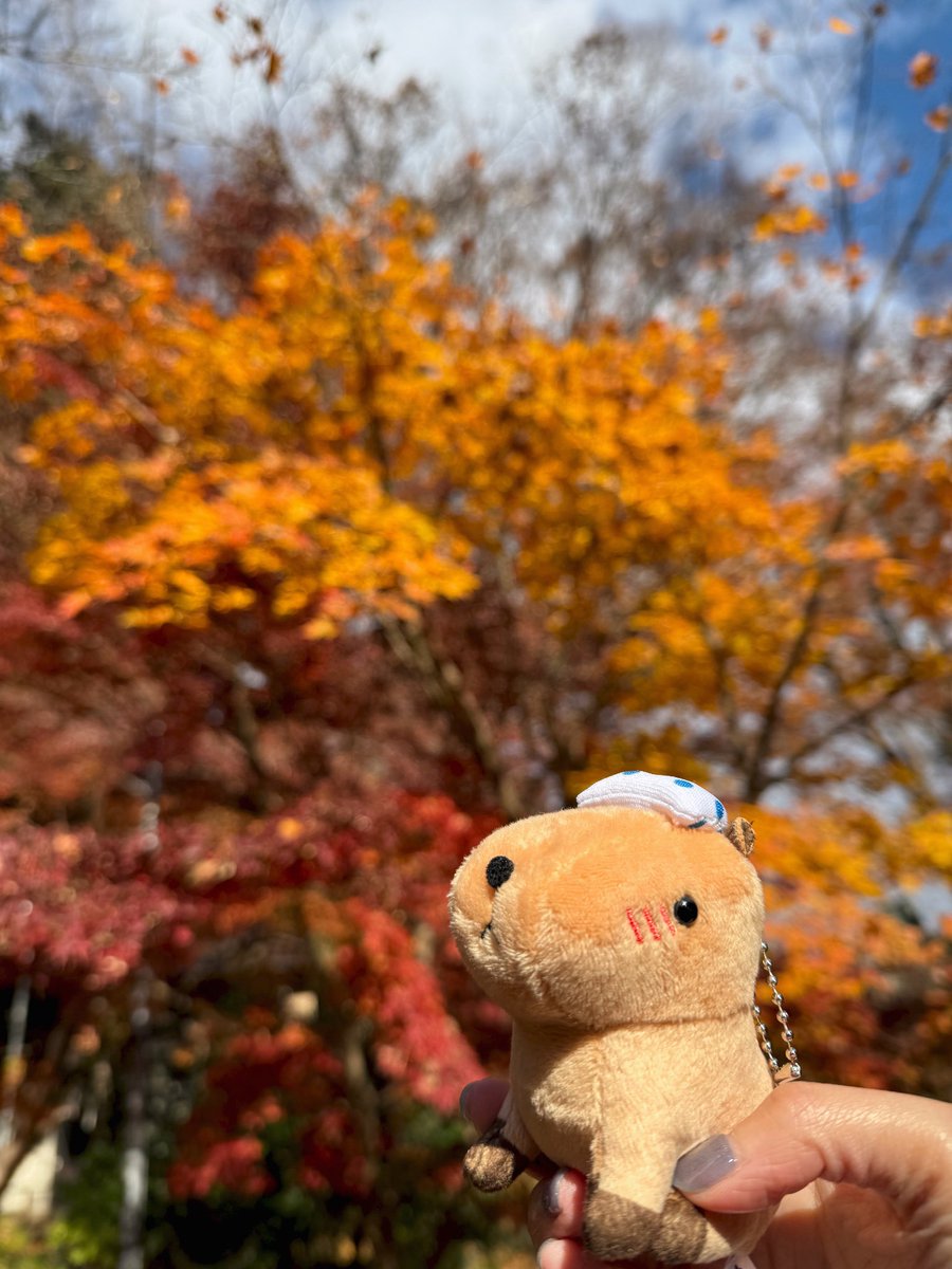 佐藤照雄 (@teruosatou) / Posts / X