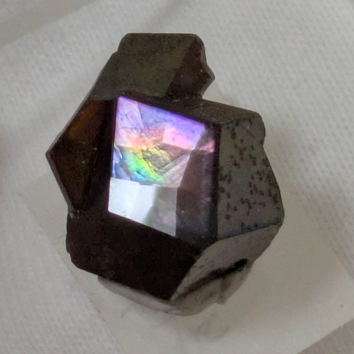 レインボーガーネット🌈 一面研磨標本(d面) @tenkawacrystal1 さんから♪