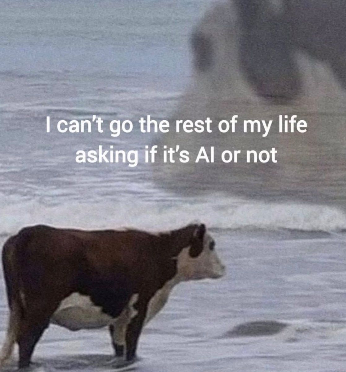 Respectful Memes (@respectfulmemes) on Twitter photo 