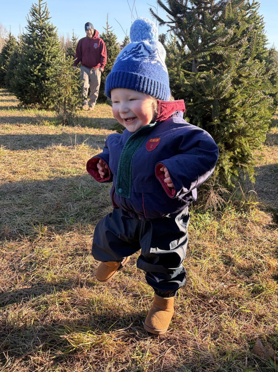 sh0beats's tweet photo. Tree obtained https://t.co/BGPUA5ZWOG