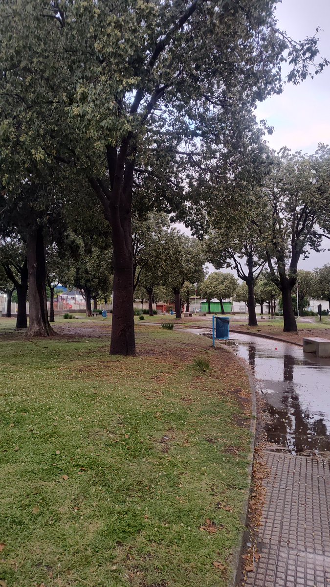 MatiasFerri87's tweet photo. La lluvia no fue excusa: salí a correr igual. 🌧️💪 Entrenar cuando da fiaca es donde realmente se construye el hábito.
#running #run #fitness #workout #motivation #training #healthylifestyle #runhappy https://t.co/WDJlvkwUcE