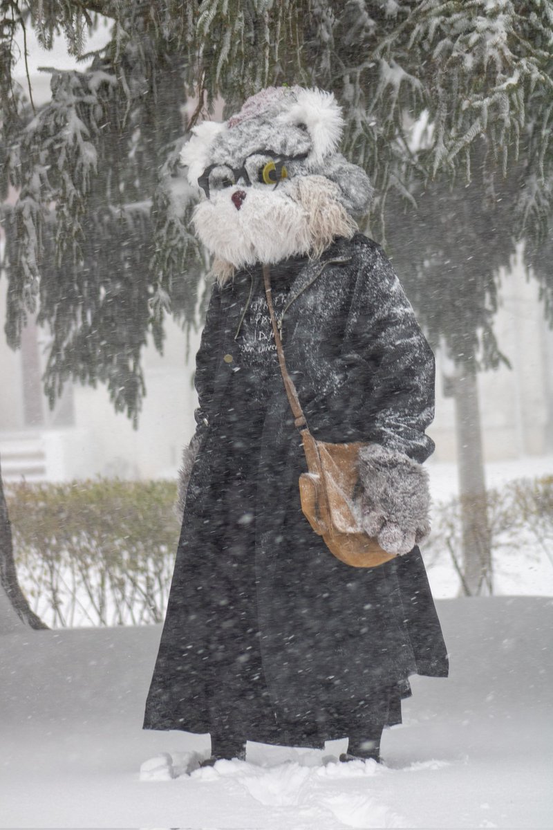 fem n ems tweet media