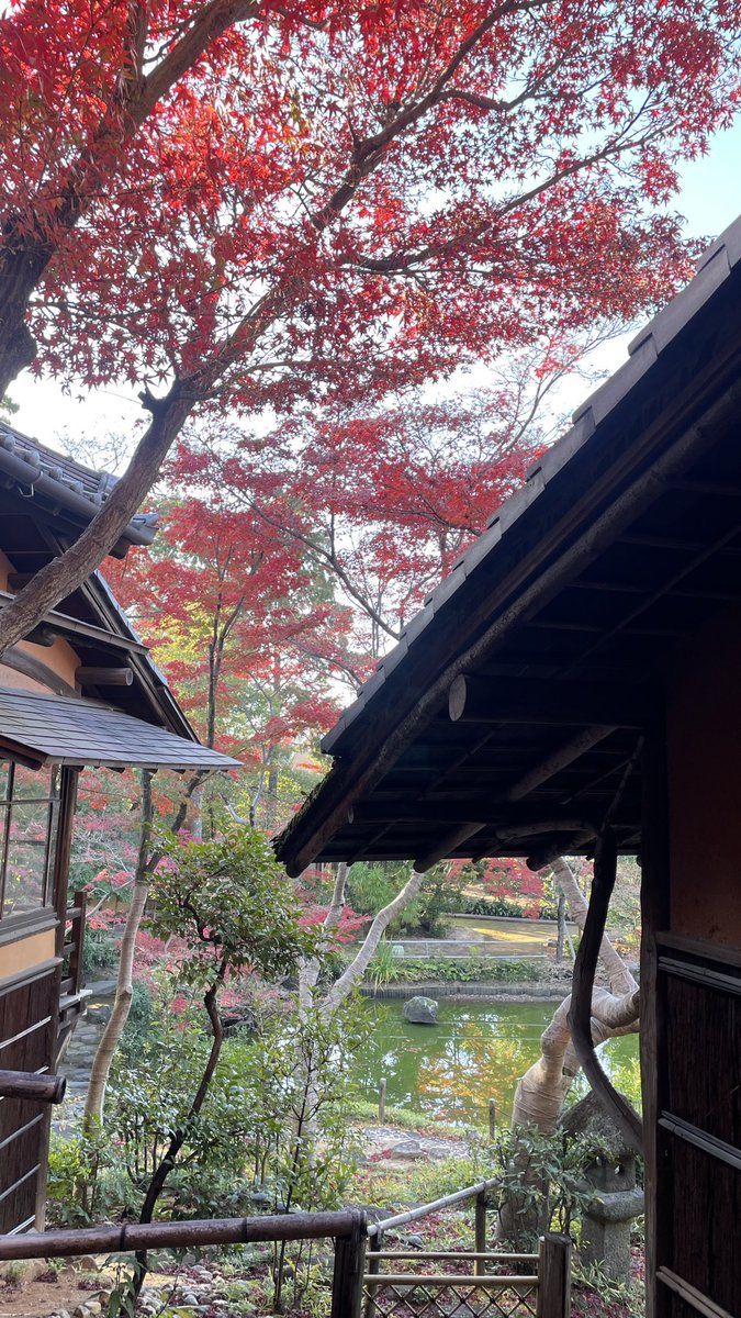 昭和美術館 tweet media