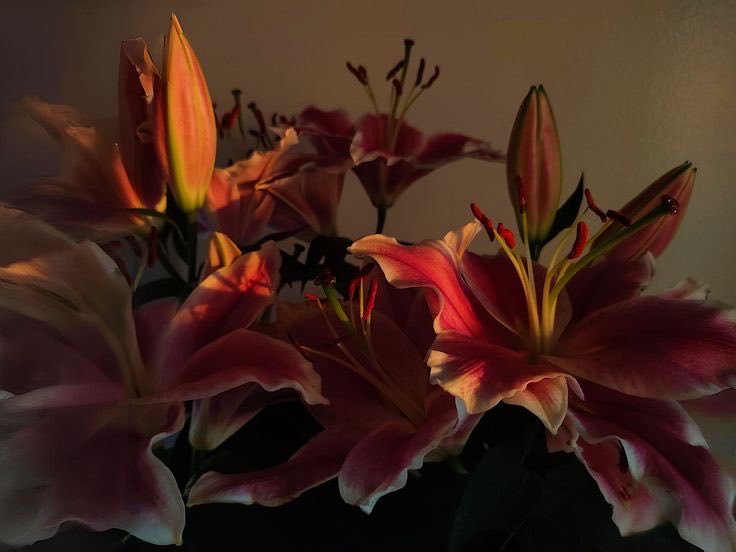 GaiaSerenity's tweet image. 