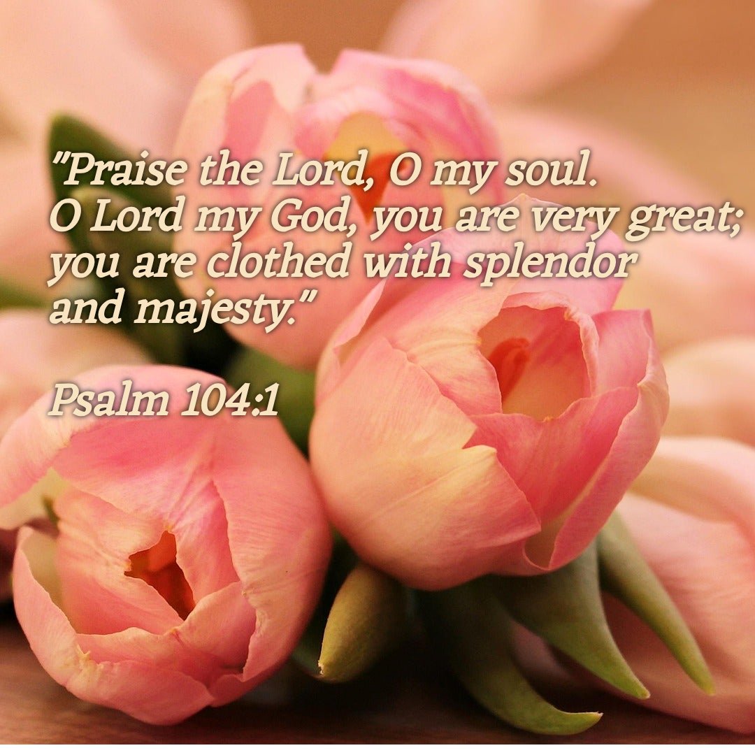 BarbaraMBritton's tweet image. It&apos;s #Scripture Sunday.