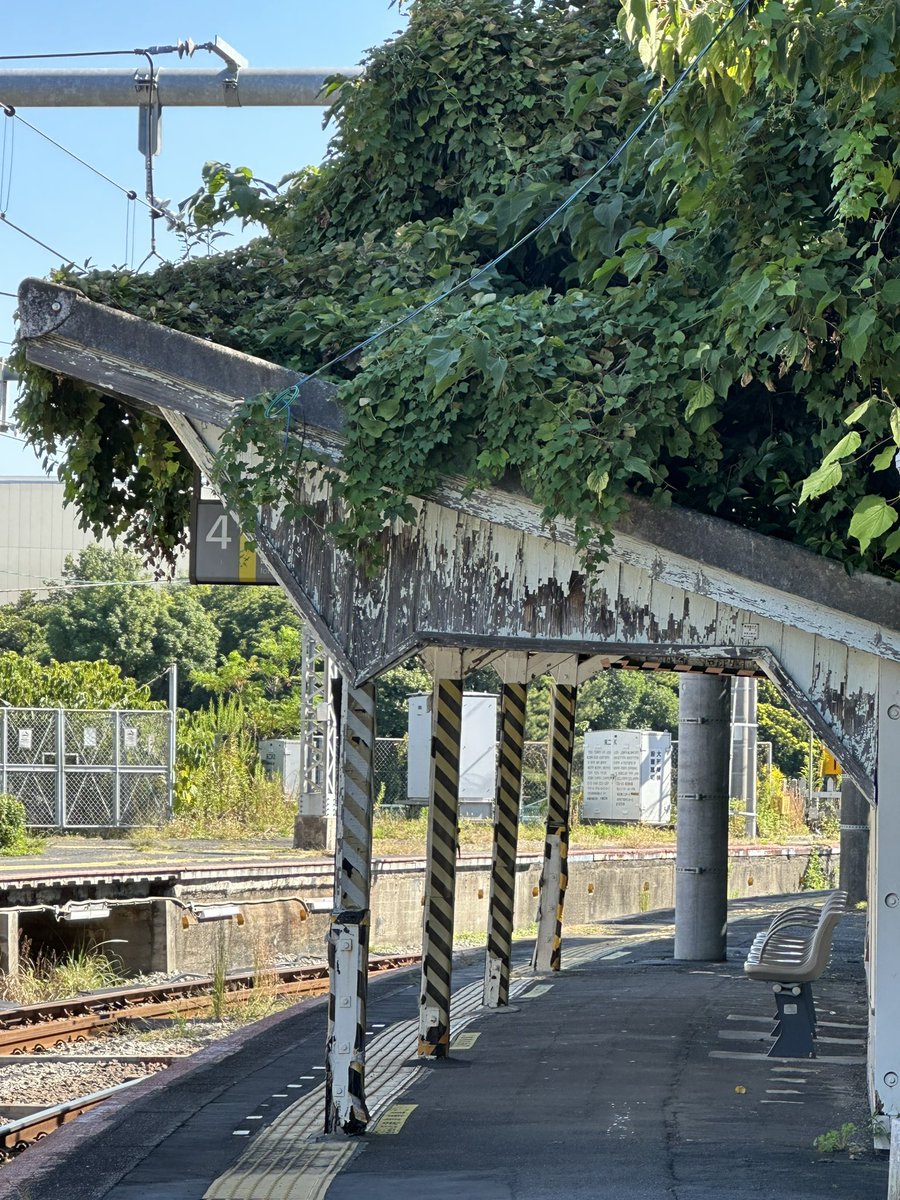 ☆たけちゃんさん☆ (@117takecyanman) / Posts / X