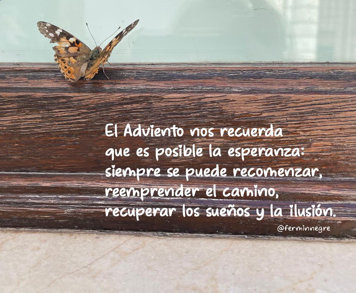El #Adviento nos recuerda
que es posible la esperanza:
siempre se puede recomenzar,
reemprender el camino,
recuperar los sueños y la ilusión.
🦋👇