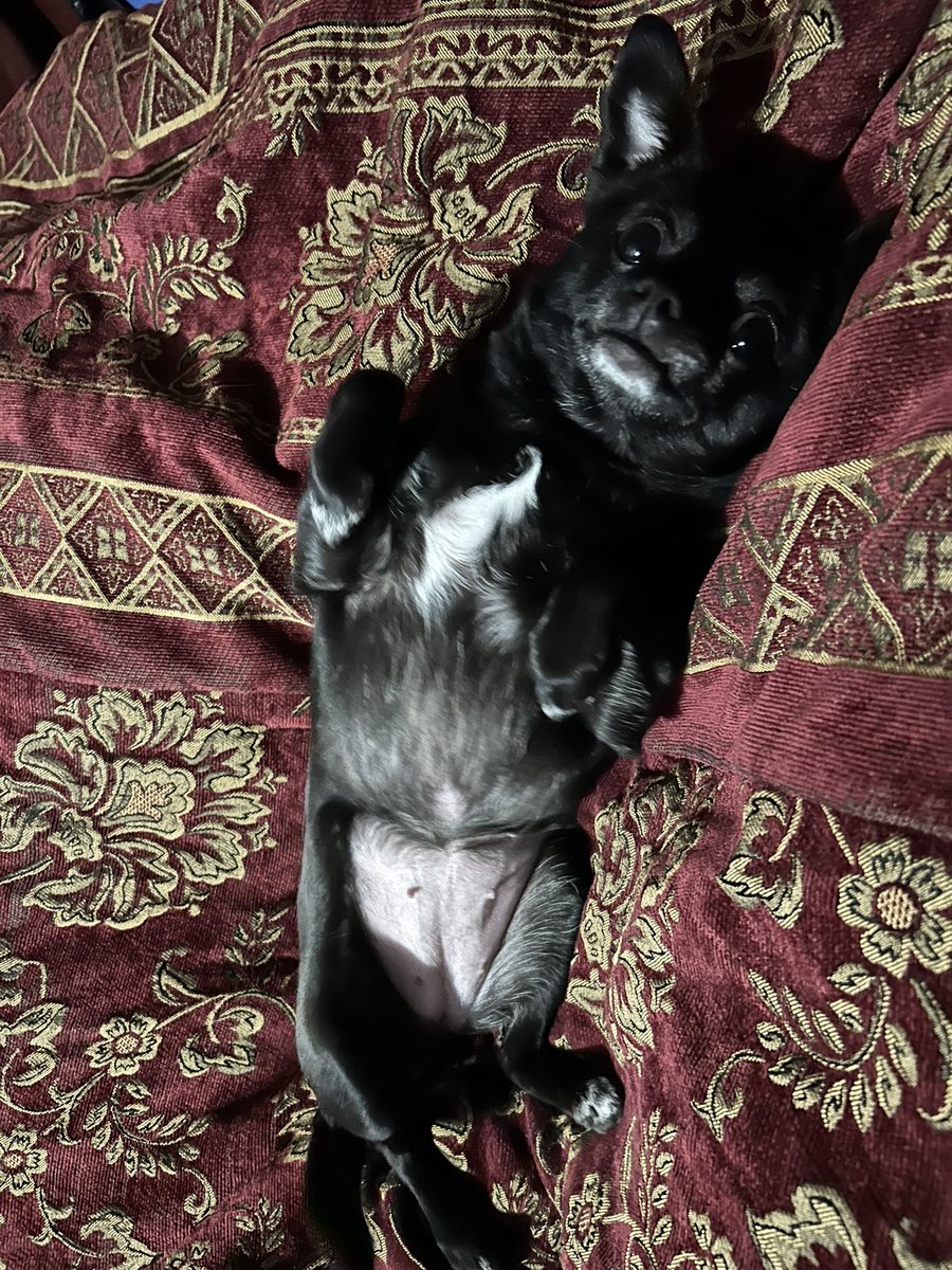 Finished piece called my little dragon inspired by my little girly