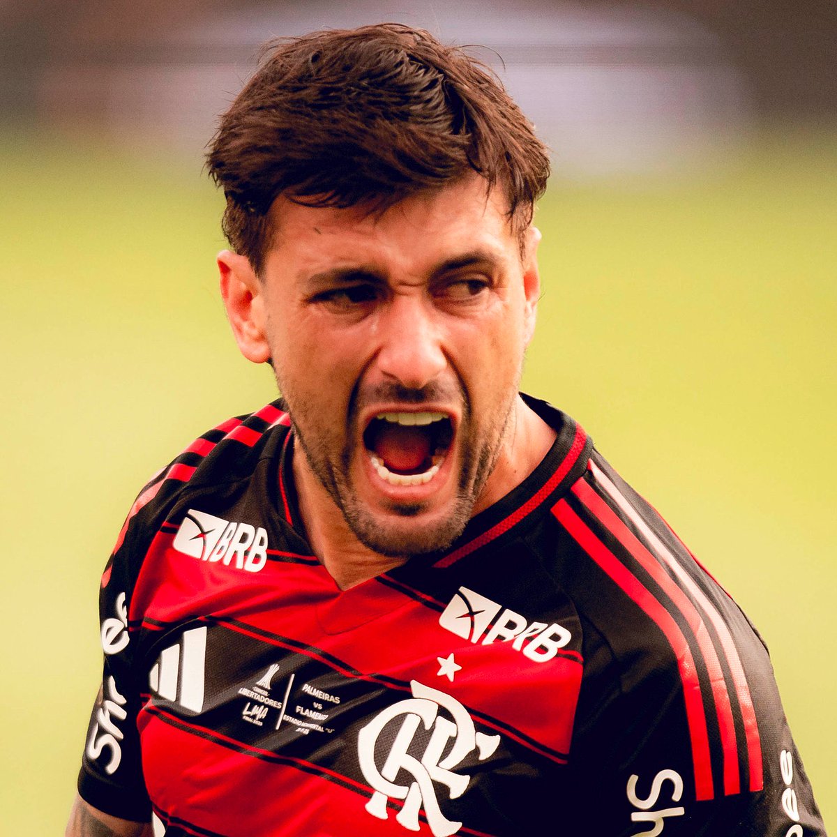 Bruno Ourique tweet media
