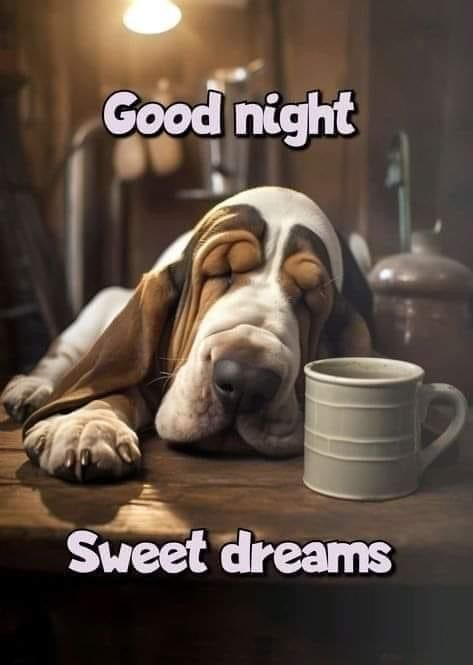 CoVet_81's tweet image. Good night, Patriots! 🌙💤

May the peace of our Lord Jesus Christ surround you as you rest. His love, protection, and guidance never sleep, and He watches over each of us with unwavering grace.✝️✨

Let’s continue to lift one another up and build strong connections with fellow…