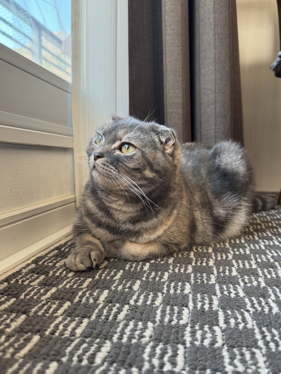 moka (@Moka0527Ramu) / Posts / X