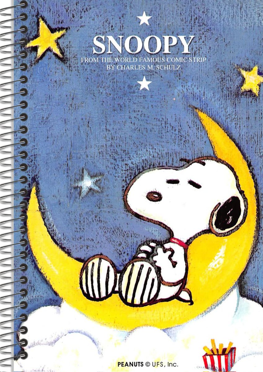 polaroidstudy's tweet image. oi queridos, vim ensinar a fazer essas capinhas lindas para suas anotações no tab. 
#studytwt #studytwtbr #studying